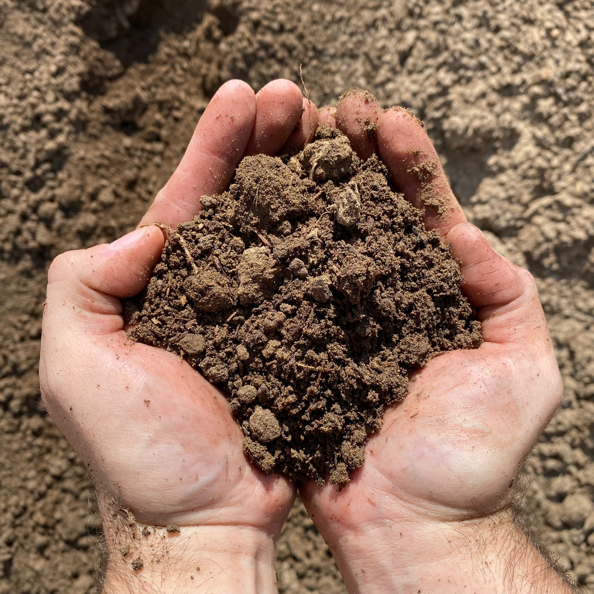Organic double screened topsoil